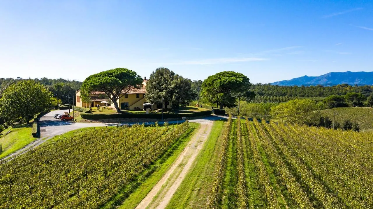 Fattoria Varramista - Podere Lecceta Villa Montopoli in Val d'Arno Italy